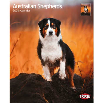Kalender Australsk Shepard 12547