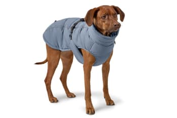 Coat Paxson 30 Polyester  powder blue