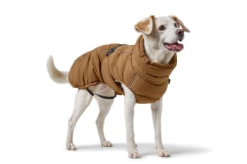 Coat Paxson 80 Polyester caramel