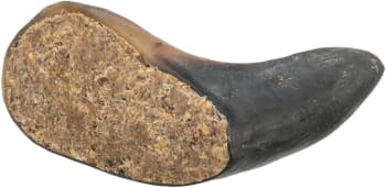 Bøffelhorn Fyldt M/Muskel og Sene fra Bøffel 10-14cm