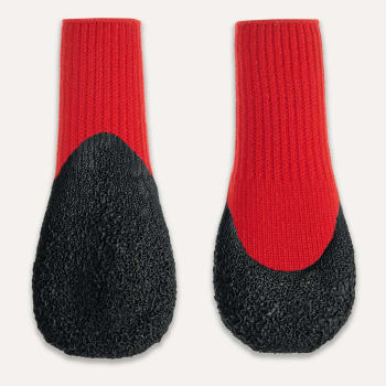 Hundesokk Goo-eez Lite 4pk Rød/Sort XXL 8,6cm