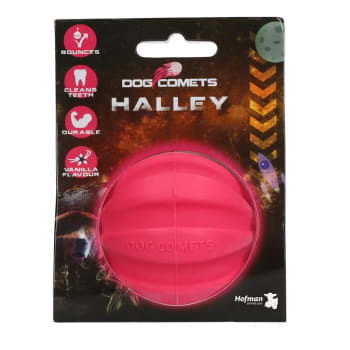 Dog Comets Halley Pink