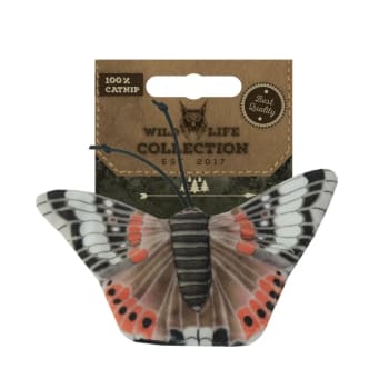 Wild Life Cat Admiral Butterfly