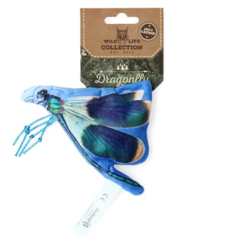 Wild Life Cat Dragonfly