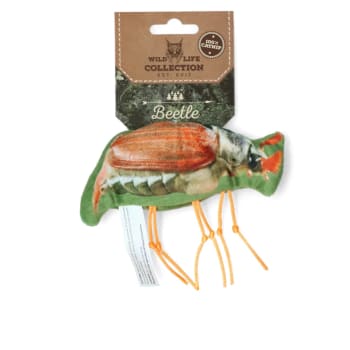 Wild Life Cat Beetle
