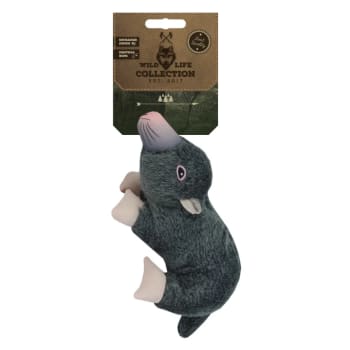 Wild Life Dog Mole