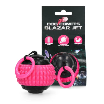 Dog Comets Blazar Jet Pink