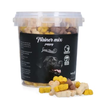 Luna's Choice Trainer Mix Biscuits (small)