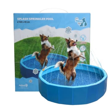 Coolpets Splash Sprinkler Pool