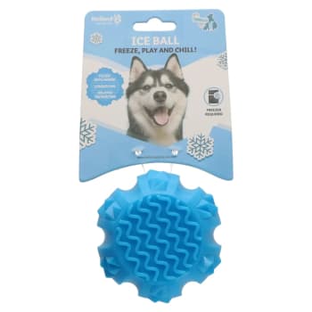 Coolpets Ice Ball