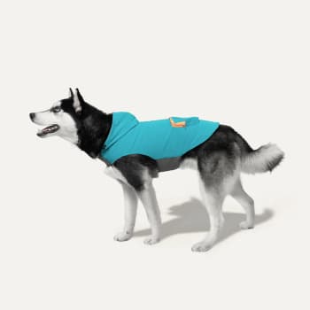 On-The-Go Poncho S Turkis/Oransje