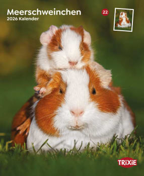 Kalender Marsvin 12595