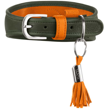 Collar Greyhound Portofino 40/XS-S Cowleather olive green/orange