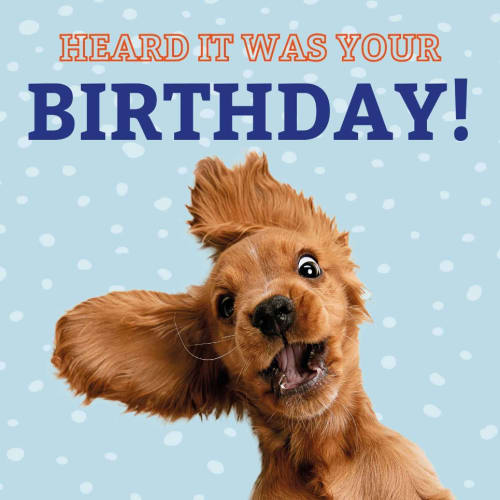 Kort Funny Dog Heard it was your Birthday! 13,7x13,7cm
