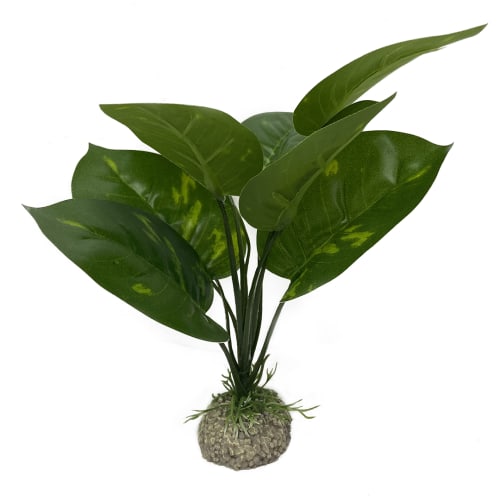 Akv. Pynt 242-468272 Anubias 1 Grønn 24cm