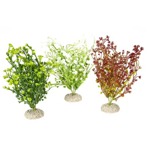 Akv. Pynt 242-458167 Bacopa Mix M 25cm