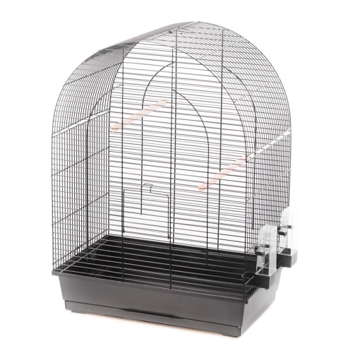 Parakitbur Big Lucie III Farget 54x34x75cm