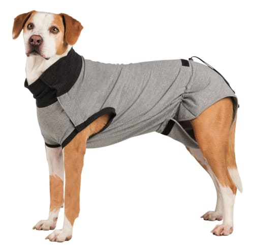 Beskyttelse Drakt til Hund XS/S 30cm Grå