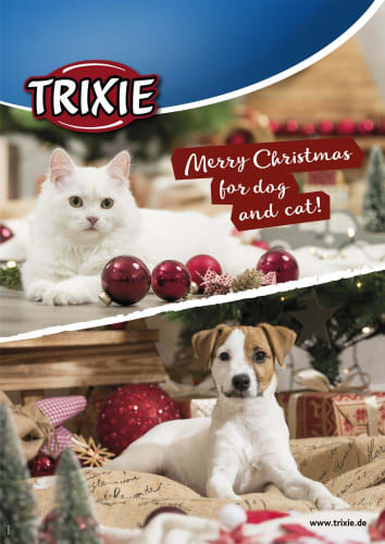 Poster Christmas A1