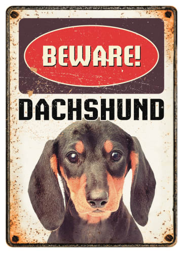 Metallskilt Beware Dachs 21x14,8cm