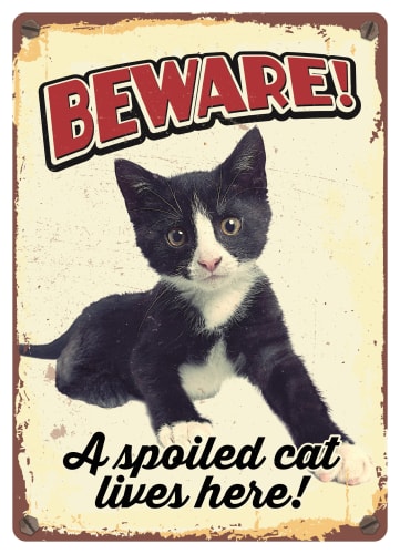 Metallskilt Beware Spoiled Cat 21x14,8cm