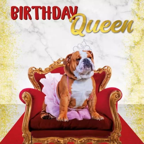 Kort Birthday Queen 13,7x13,7cm