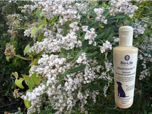 MediCleanse Balsam Hund (Allergi Hemmende) 250ml