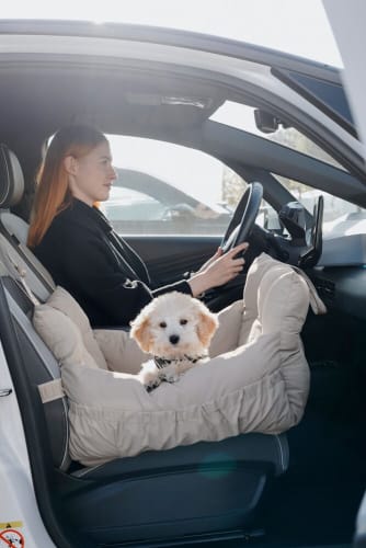 Car Seat Seoul Nylon greige