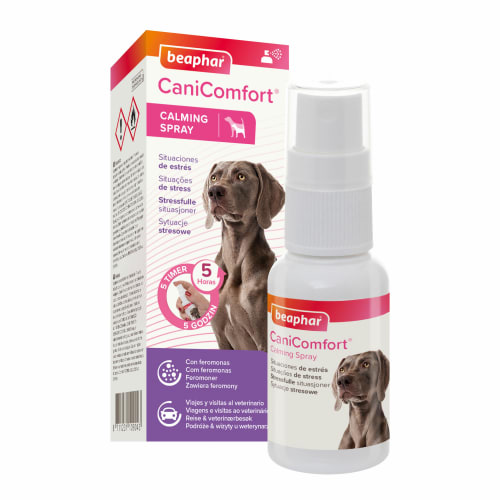 Beaphar CaniComfort Spray 60ml for hund