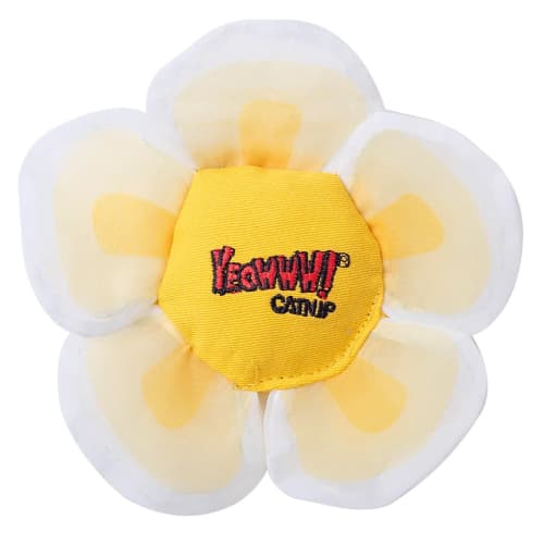 Yeowww Daisey`s Flower Top White