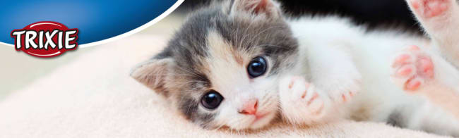 Tego Magnetplakat "Fascia" Til Tego Topp 133x40cm