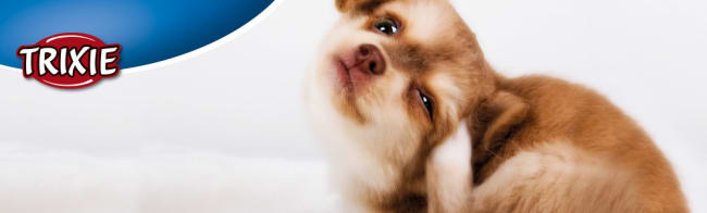 Tego Magnetplakat "Fascia" Til Tego Topp 133x40cm