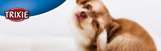 Tego Magnetplakat "Fascia" Til Tego Topp 125x40cm