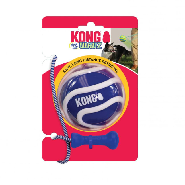 Hundeleke KONG Wavs Bunjiball L