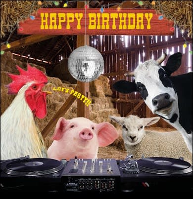 Kort Happy Birthday At the Farm 13,7x13,7cm