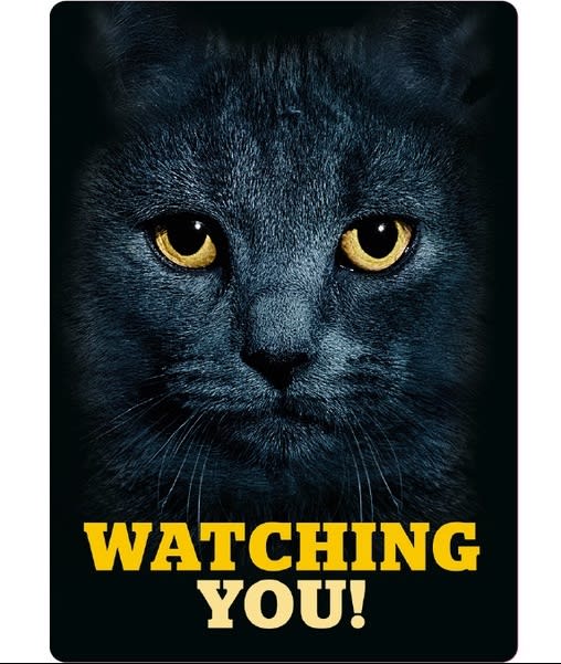 Metallskilt Watching You! 21x14,8cm