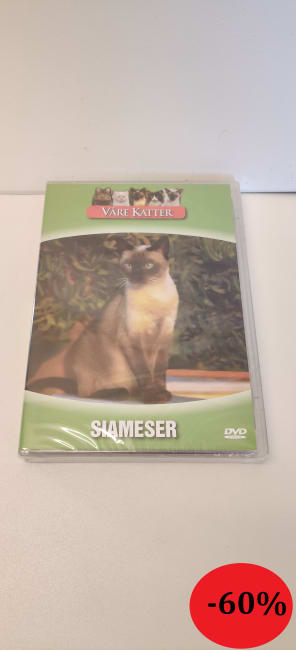 DVD Våre katter-Siameser