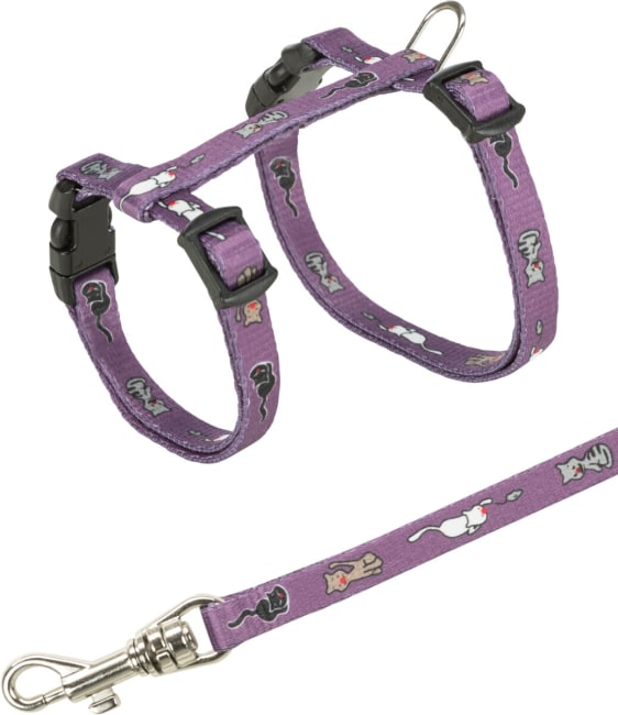 Kattesele 4144 Kitten Mus 21-34cm 1,20m