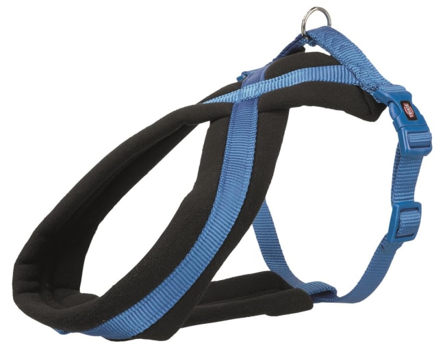 Hundesele Foret 203802 Royal Blå S/M 40-70cm