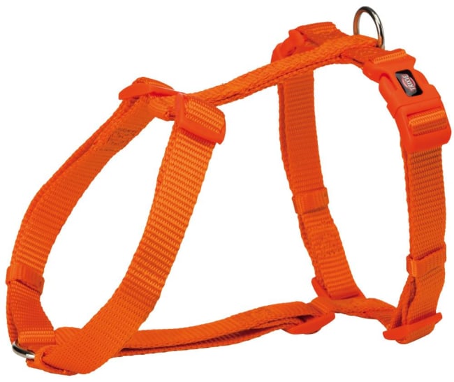 Hundesele Premium 203518 75-120cm 25mm L/XL Papaya Oransje