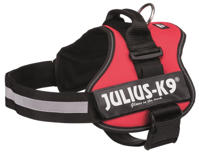 Hundesele Julius K9 Str 2 150503 Rød XL/2 71-96cm