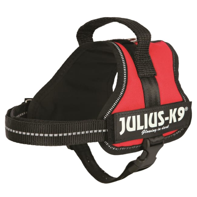 Hundesele Julius K9 Mini-Mini XS 150103 Rød 40-53cm