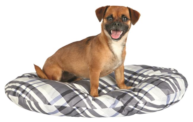 Hundepute 36445 Jerry 90x65x10cm Grå