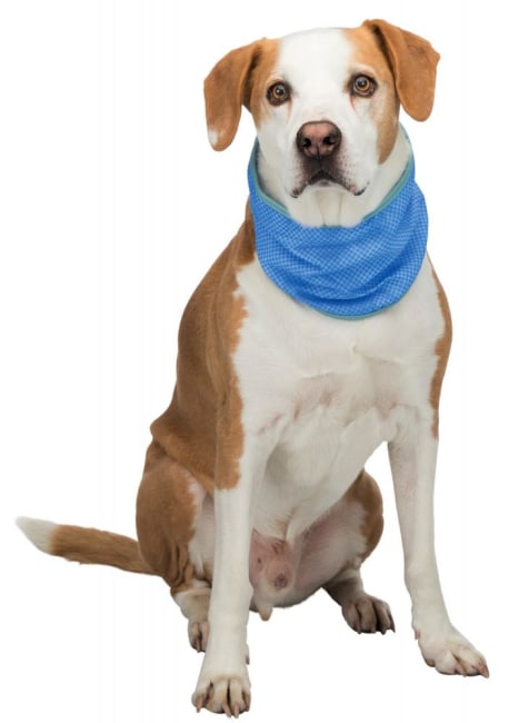 Kjølebandana S 20-30cm