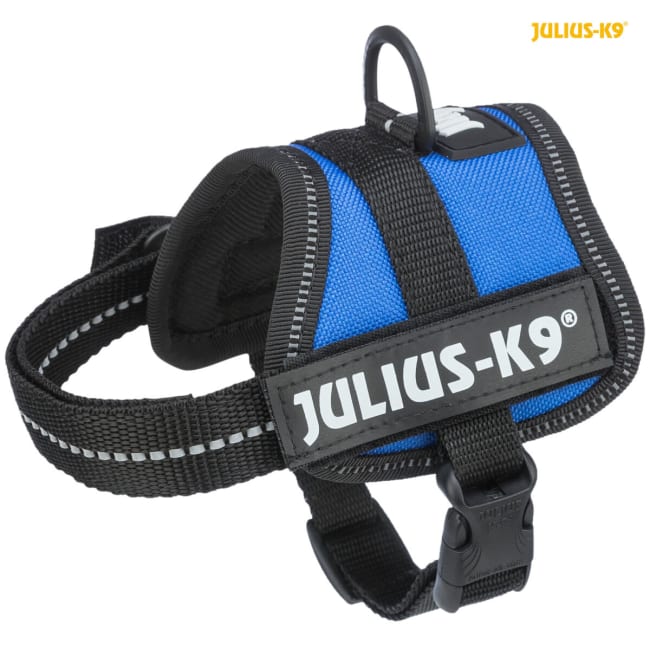 Hundesele Julius K9 Baby 1 150702 Blå 3XS 26-36cm