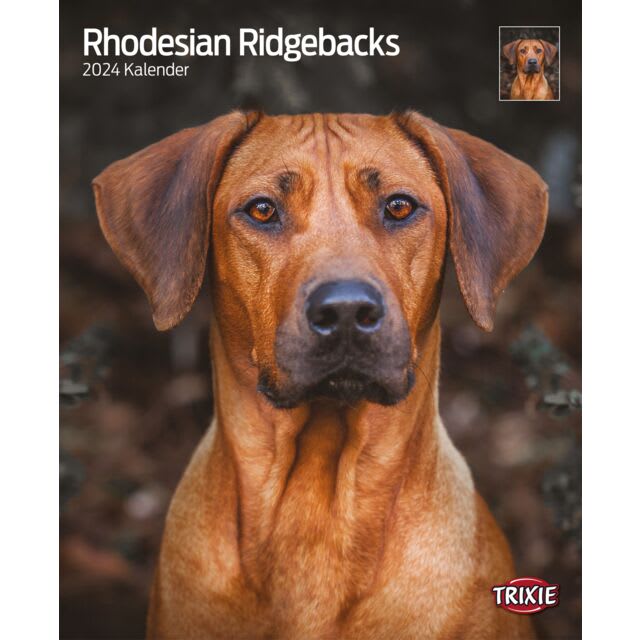 Kalender Rhodesian Ridgeback 12576