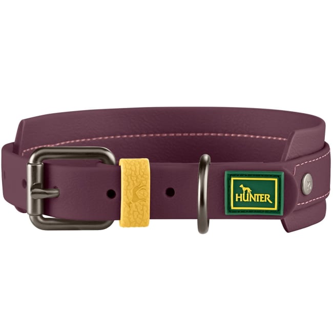 Collar Havanna 60/L Plastic blackberry