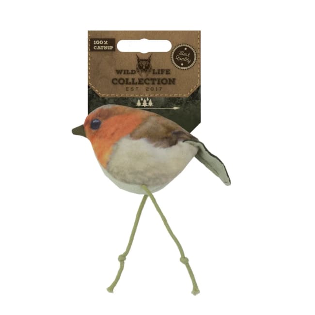 Wild Life Cat Robin