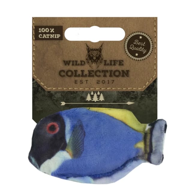Wild Life Cat Blue Tang