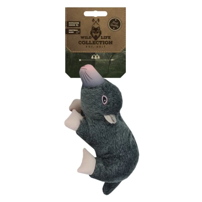 Wild Life Dog Mole
